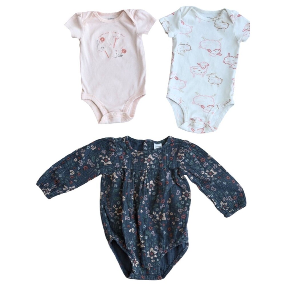 Carter’s Baby Girls BUNDLE OF 3 ASSORTED SIZES One Piece Bodysuits. 3, 6, 12 Mo.
